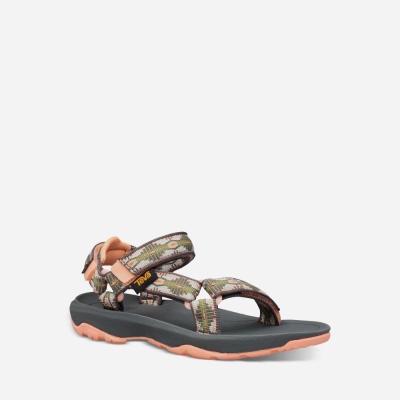 Teva Kids Hurricane XLT 2 Hiking Sandals Sale NZ (WYVZU-5976)